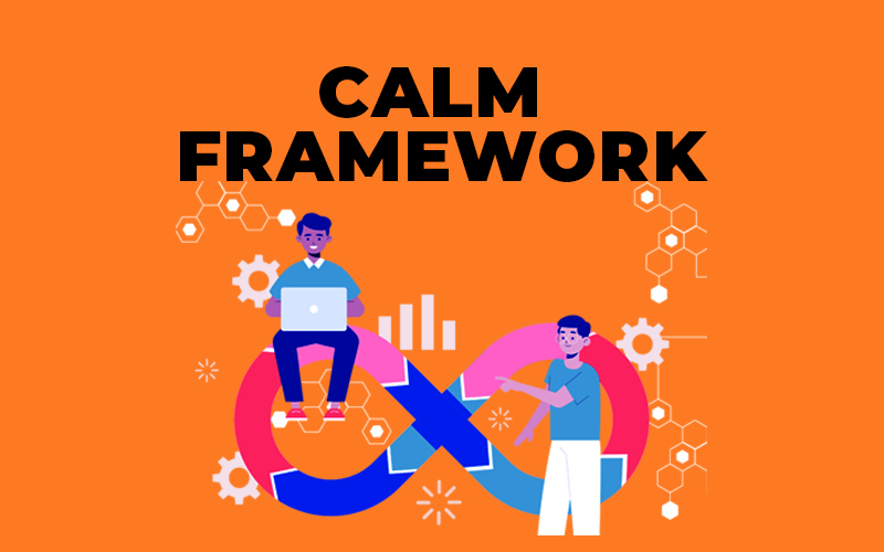 Apa itu Calms Framework